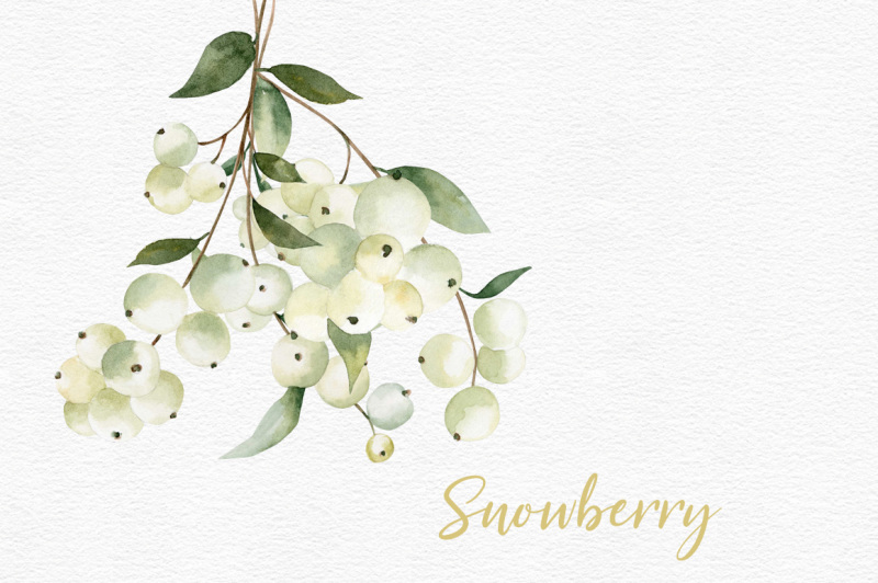 watercolor-snowberry-set