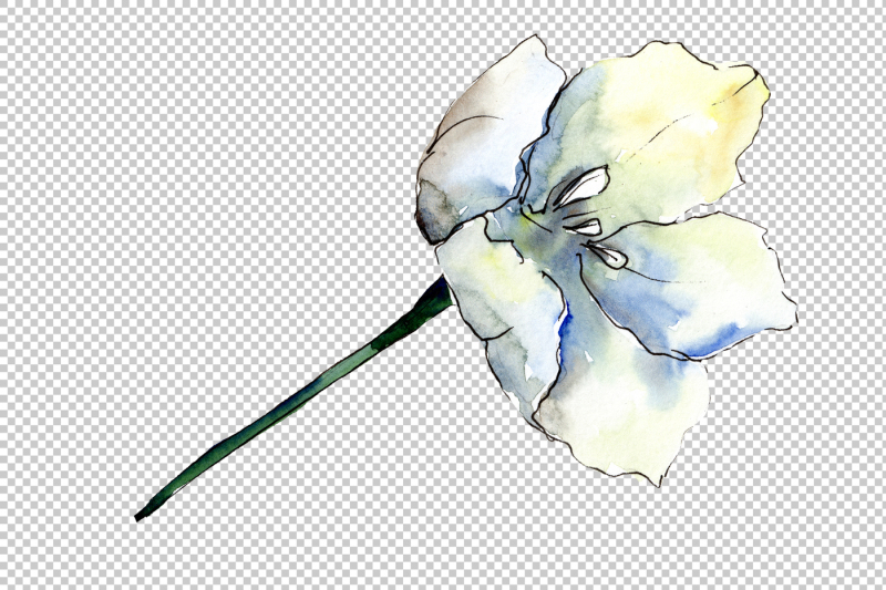 white-tulips-png-watercolor-flower-set