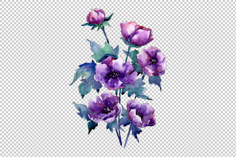 bouquet-of-purple-poppy-png-watercolor-set