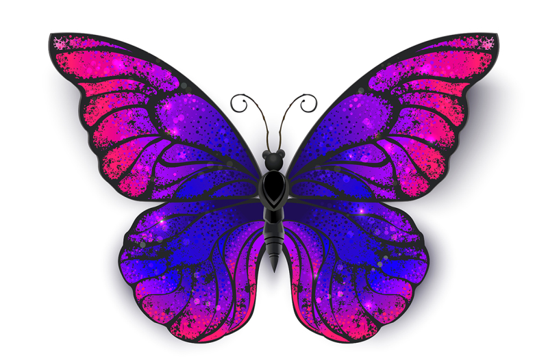 tricolored-butterfly