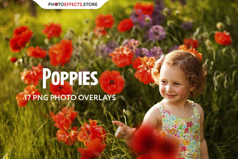 17-poppie-flowers-photo-overlays