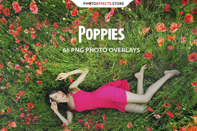 66-poppie-flowers-photo-overlays