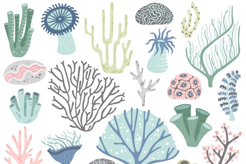 aquarium-corals-and-seaweed-marine-ocean-coral-flora-decor-underwate