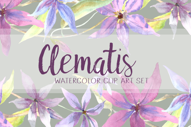 watercolor-clematis-clip-art-set-pattern-border-wreath