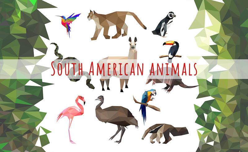 vector-set-of-south-american-animals-icons-low-poly