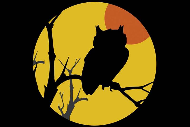 fall-owl-shadowbox