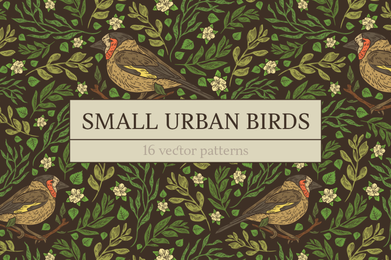 small-urban-birds-patterns