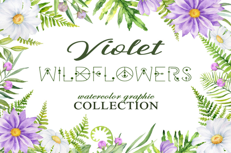 violet-wildflowers-watercolor-graphic-collection