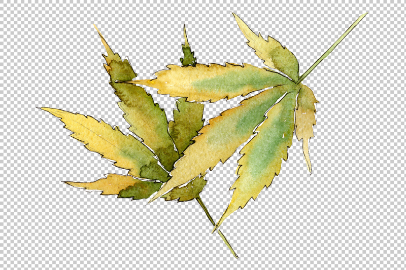 cannabis-leaves-png-watercolor-set