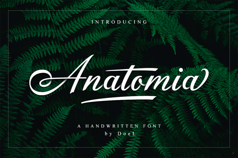anatomia-script