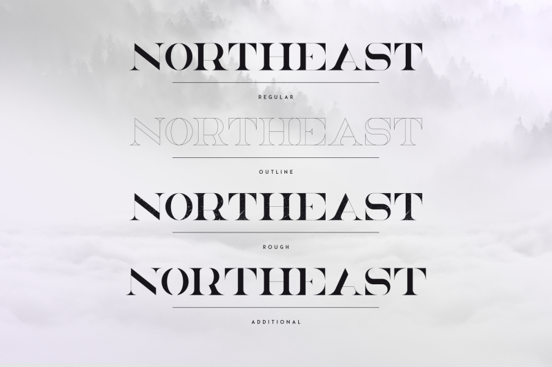 northeast-4-serif-fonts