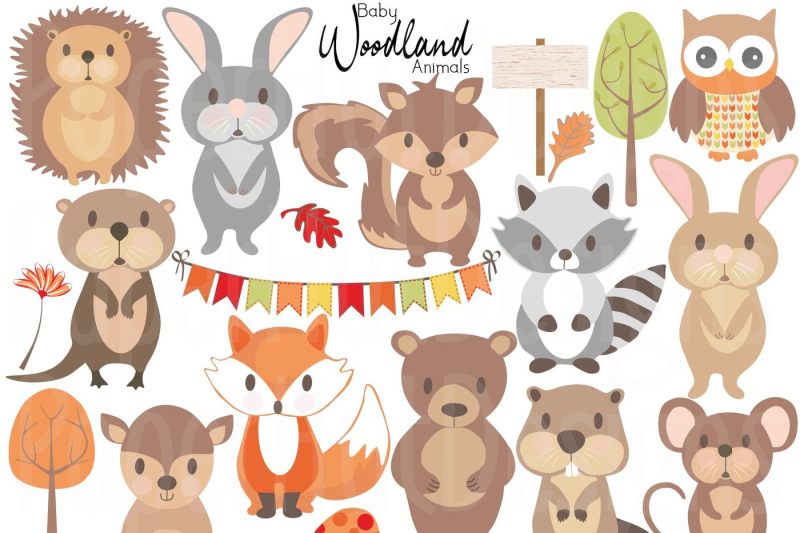 baby-woodland-animals-clipart