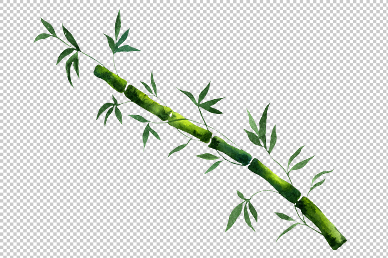 exotic-bamboo-png-watercolor-set