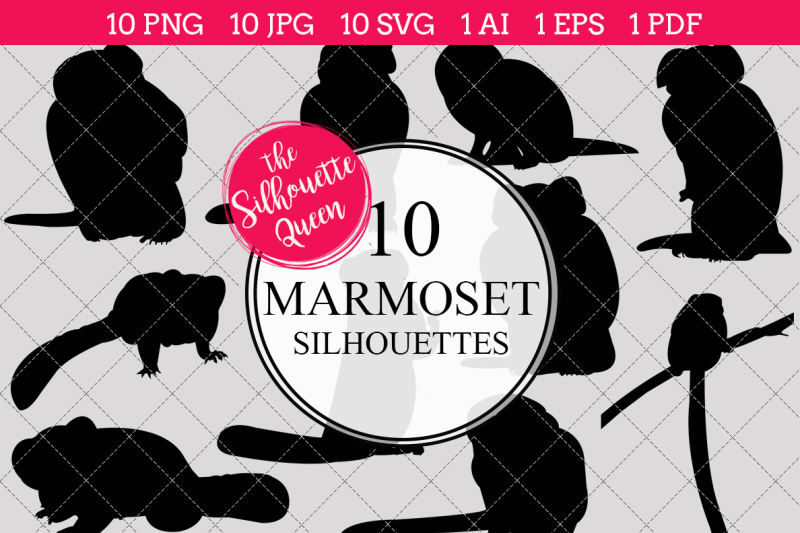marmoset-silhouette-vector