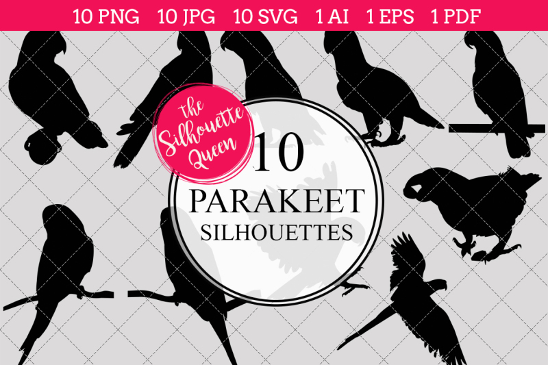 parakeet-silhouettes-vector
