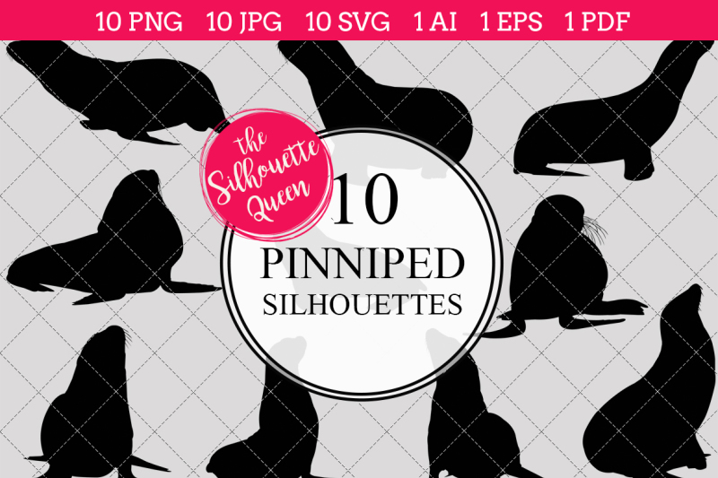 pinniped-silhouette-vector