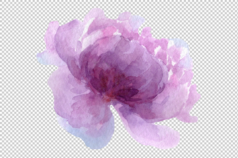 delicate-colorful-peony-png-watercolor-set