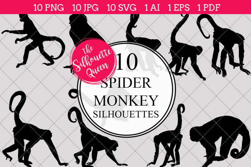 spider-monkey-silhouette-vectors