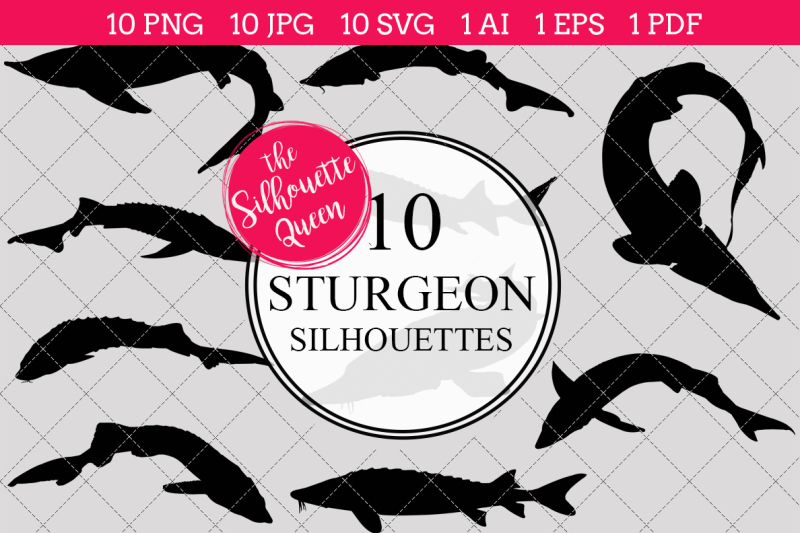 sturgeon-silhouette-vector