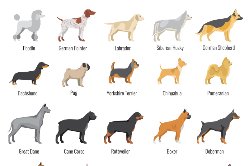 dogs-breed-vector-flat-icons-set