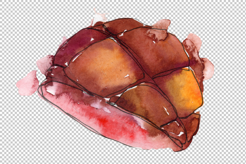 salmon-fish-steaks-png-watercolor-set