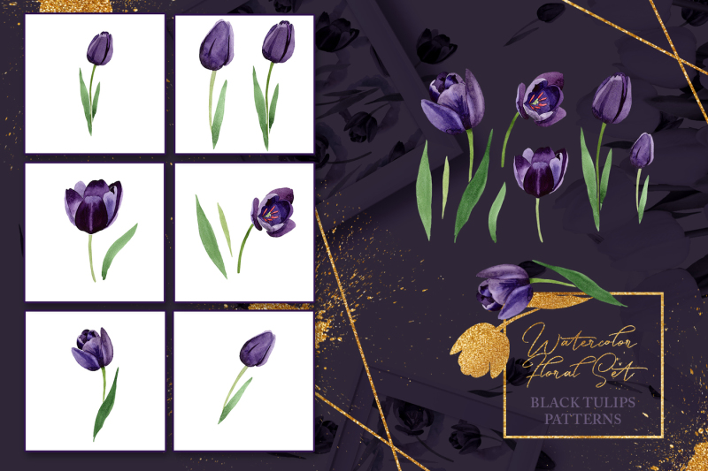 wonderful-black-tulips-png-watercolor-flower-set