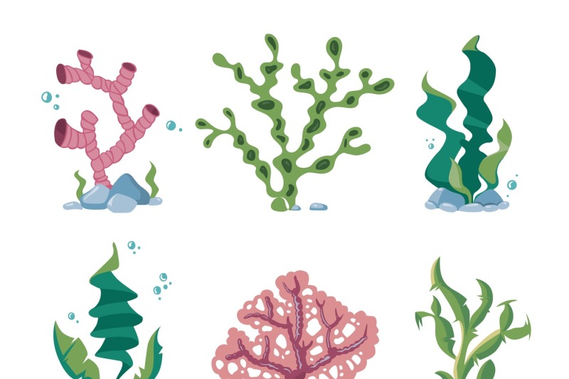 underwater-seaweeds-aqua-kelp-ocean-and-aquarium-plants-vector-set