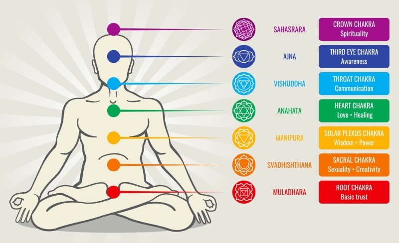human-energy-chakra-system-ayurveda-love-asana-vector-illustration