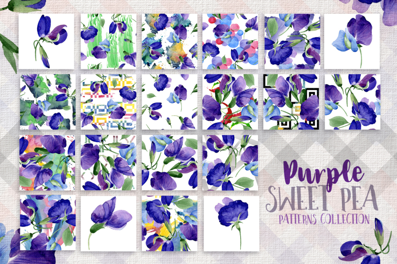 purple-sweet-pea-png-watercolor-flower-set-nbsp
