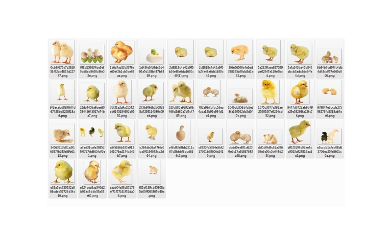 32-chicks-photo-overlays-in-png-photography