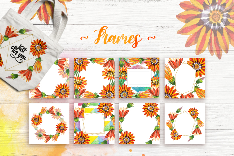 cool-orange-gazania-png-watercolor-set