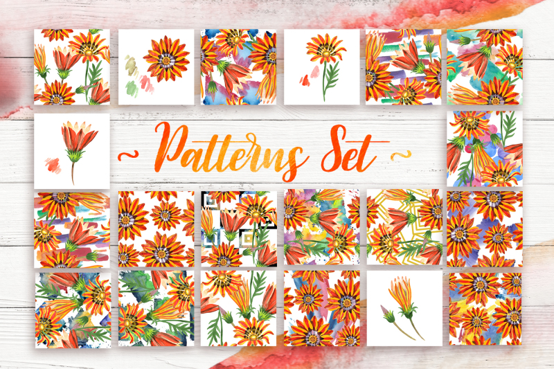 cool-orange-gazania-png-watercolor-set