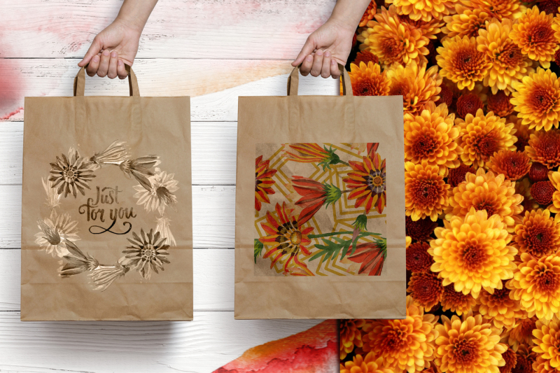 cool-orange-gazania-png-watercolor-set