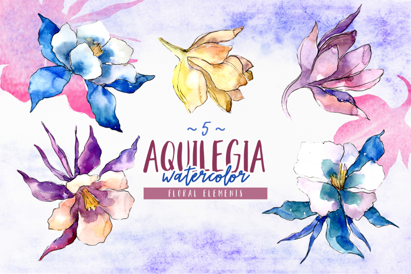 beautiful-aquilegia-png-watercolor-set