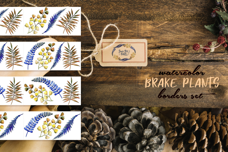 brake-plants-png-watercolor-set