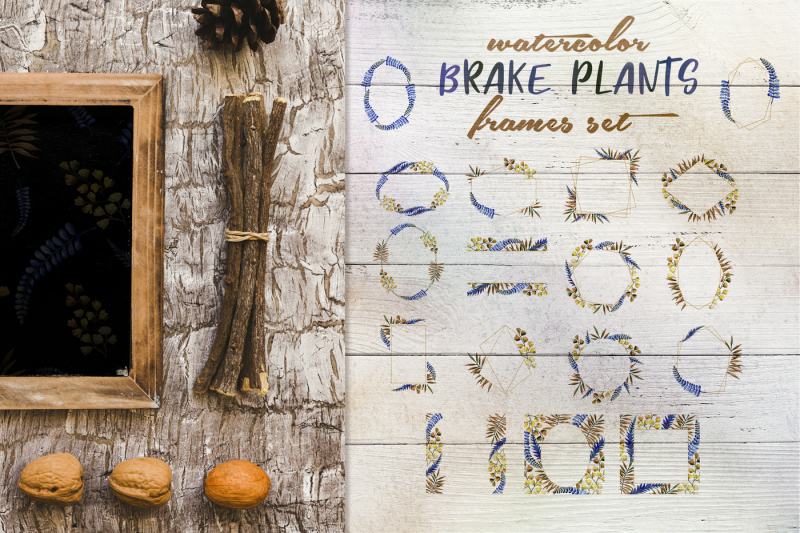 brake-plants-png-watercolor-set