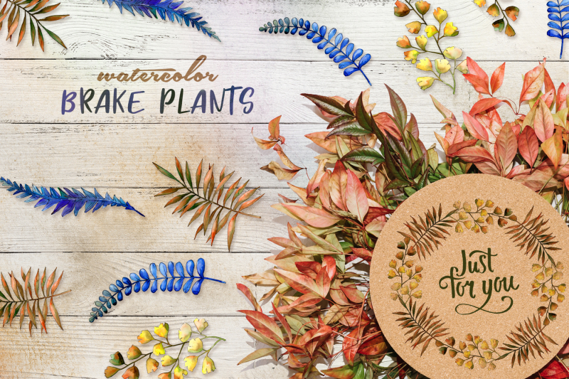 brake-plants-png-watercolor-set