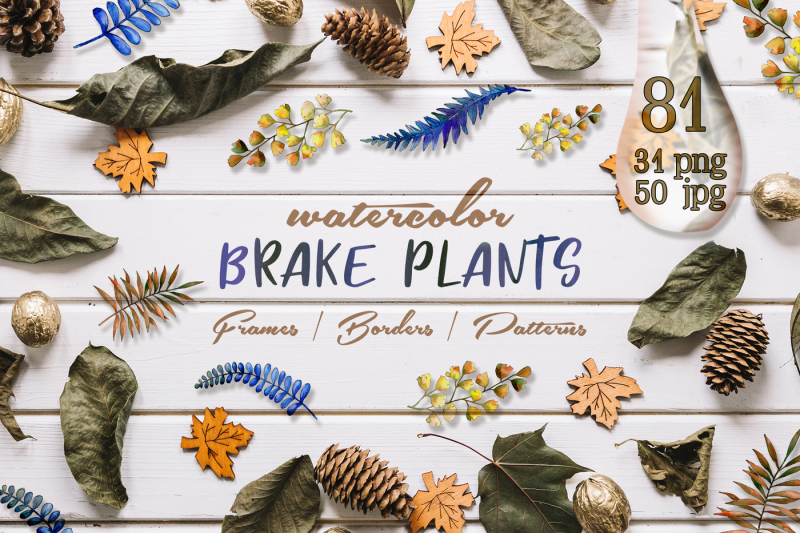 brake-plants-png-watercolor-set