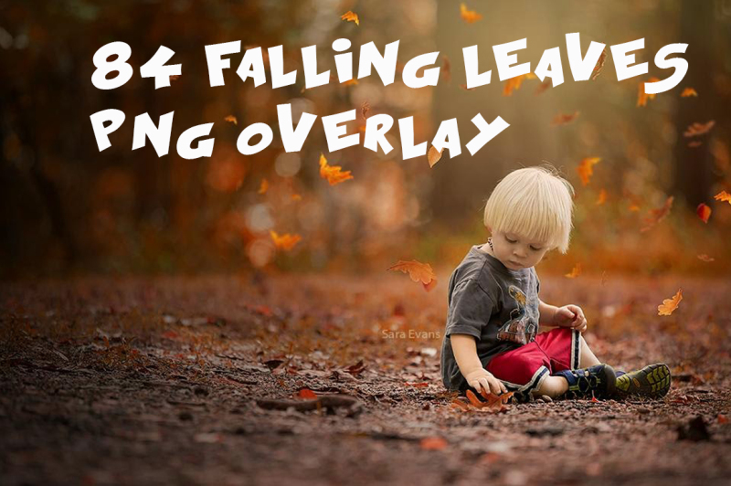 84-falling-leaves-photo-overlays-in-png-photography
