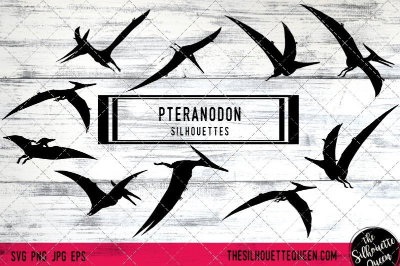 pteranodon-vector-silhouettes