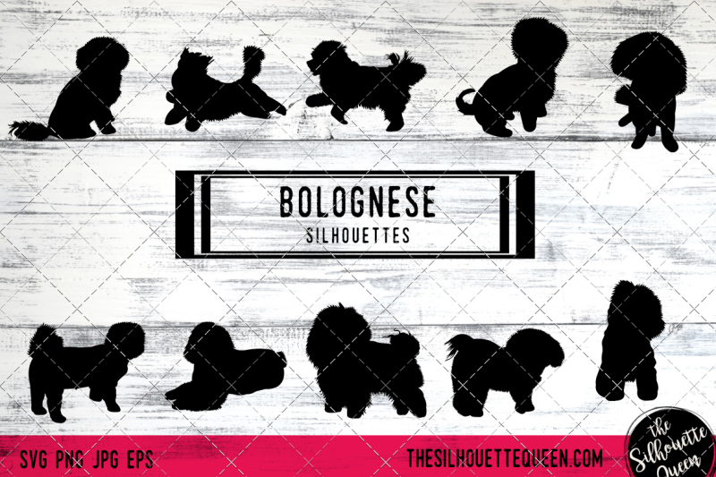 bolognese-vector-silhouettes