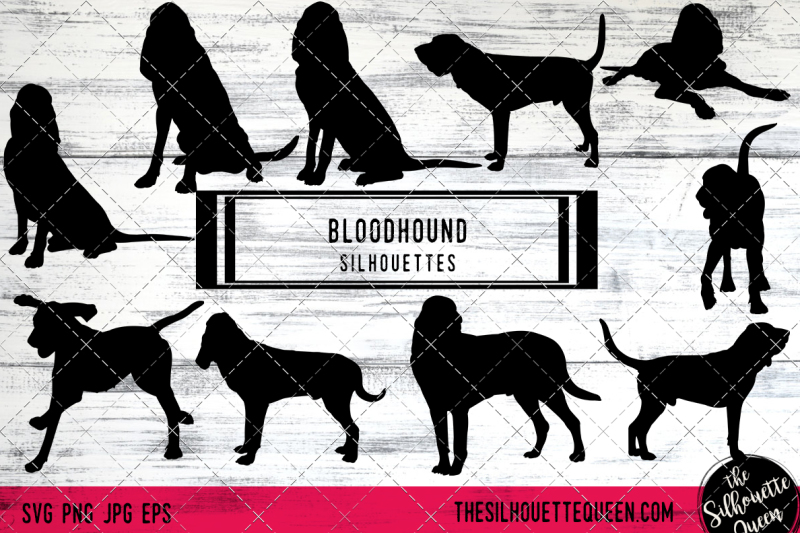 bloodhound-vector-silhouettes