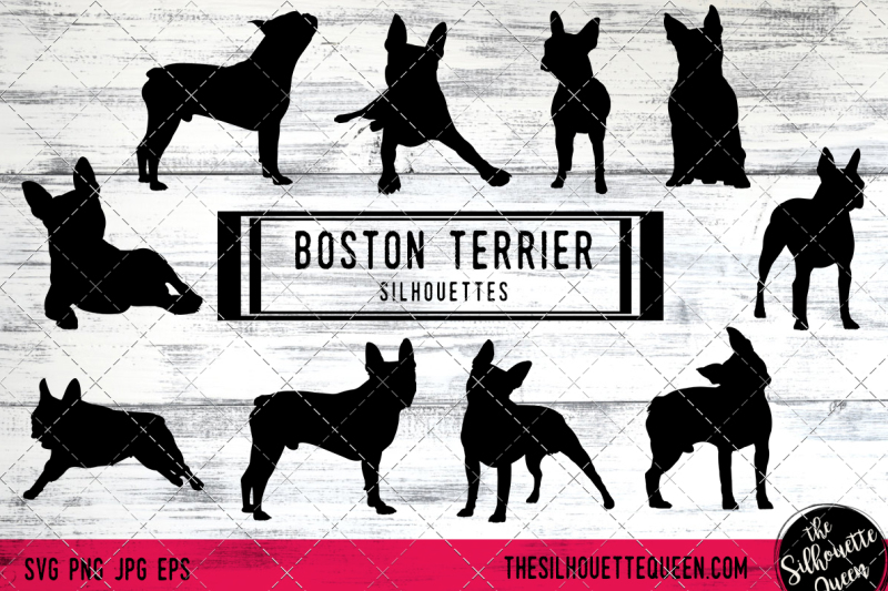 boston-terrier-vector-silhouettes