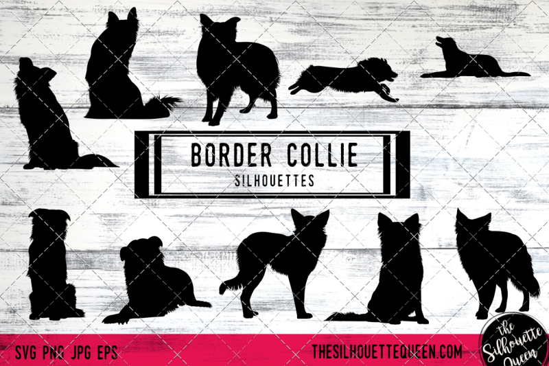 border-collie-vector-silhouettes