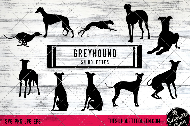 greyhound-dog-silhouette-vectors