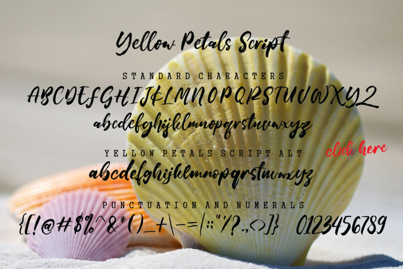 yellow-petals-font-duo