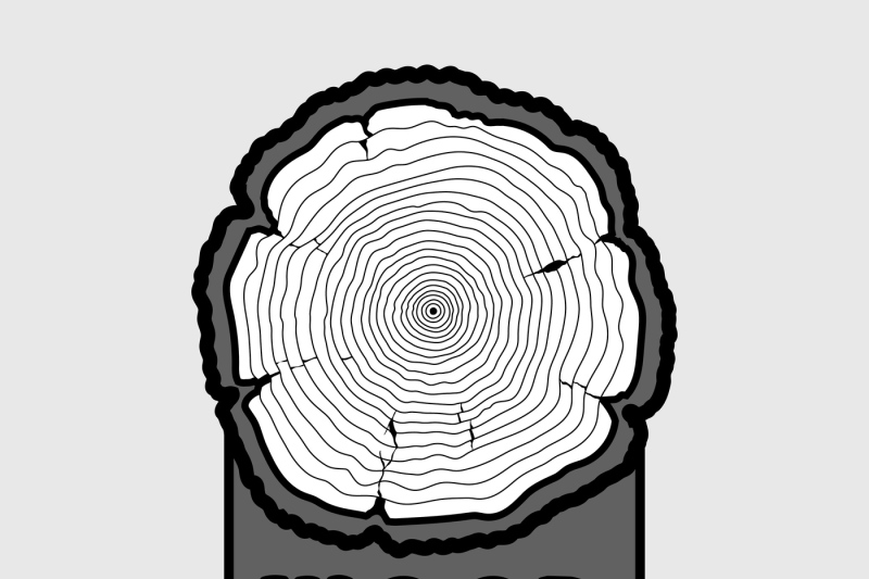 annual-tree-growth-rings-trunk-cross-section-hipster-vector-log