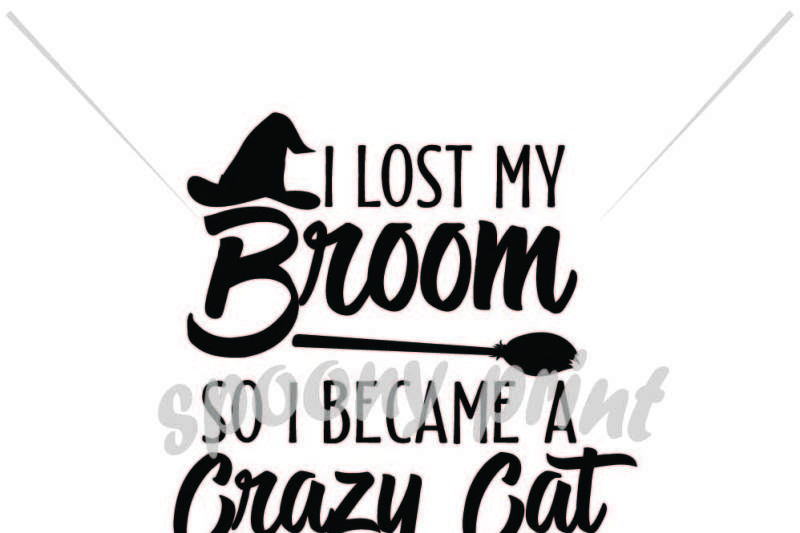 i-lost-my-broom-so-i-became-a-crazy-cat-lady