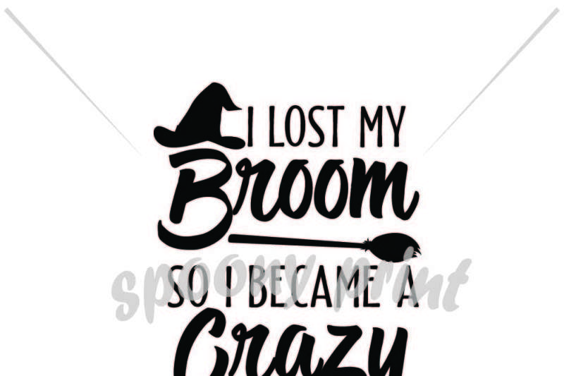 i-lost-my-broom-so-i-became-a-crazy-witch