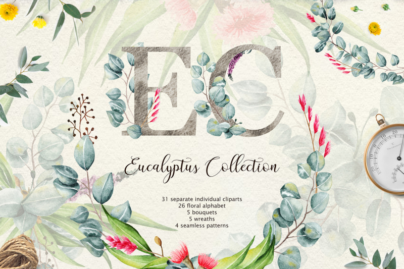 eucalyptus-collection-letter